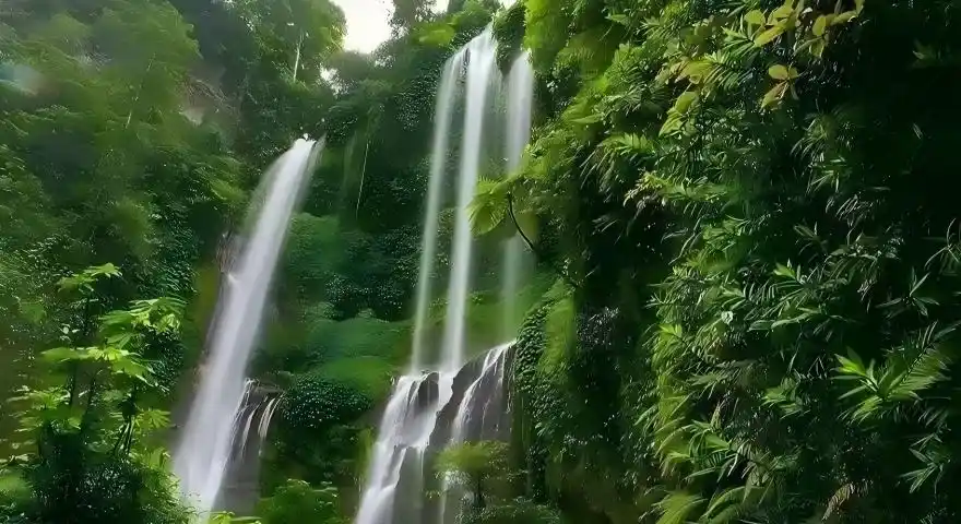 Bali Sekumpul Waterfall