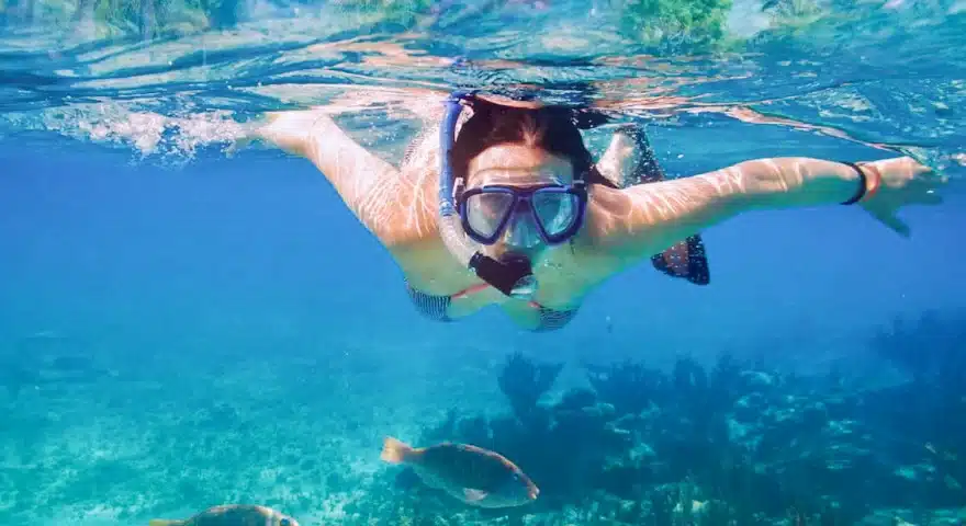 Dive Phi Phi Islands
