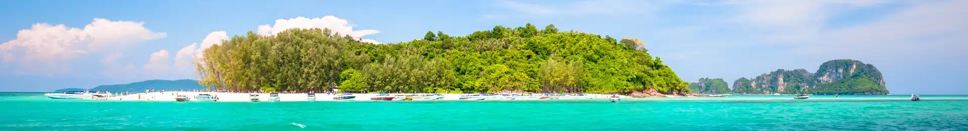 Phi Phi Islands Phuket head