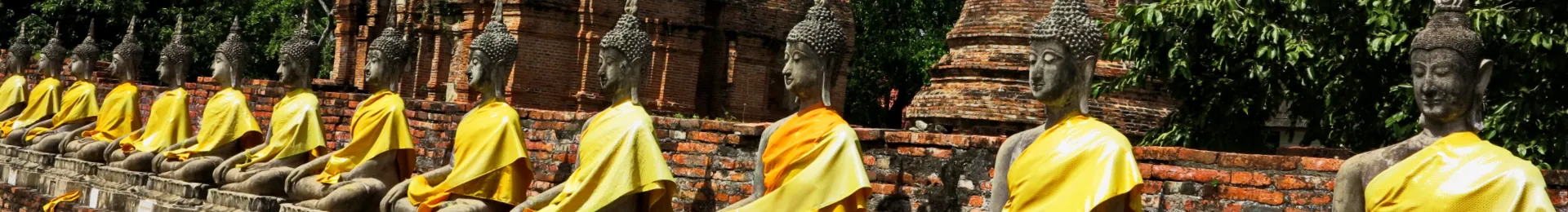 Thailand Ayutthaya head