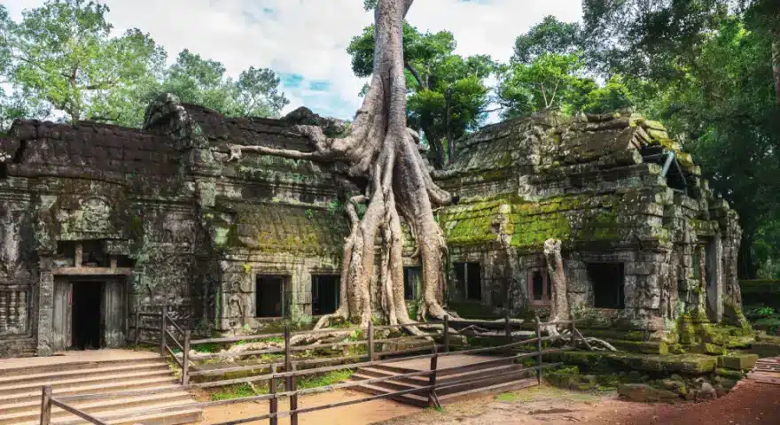 Angkor Wat Ta Prohm Temple