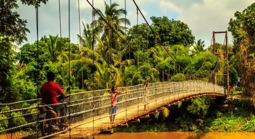 battambang-bamboo-bridge