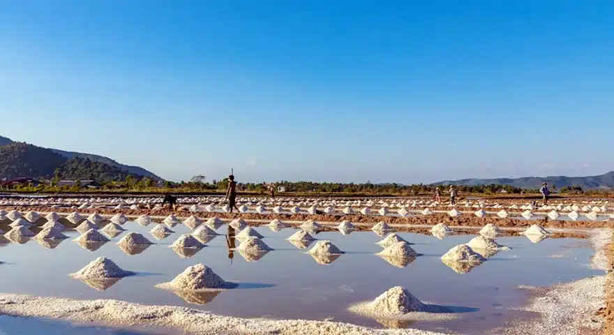 Cambodia Kampot Salt Pan