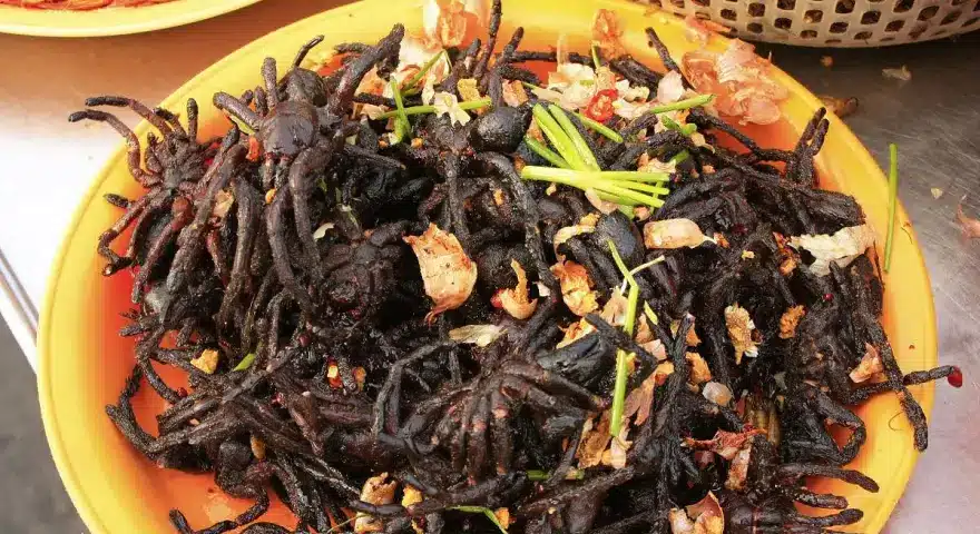 Cmabodia Food - Spiders