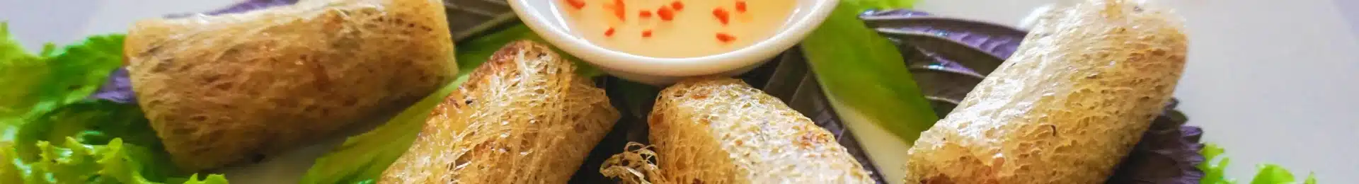 Vietnam food Fried Spring Rolls head