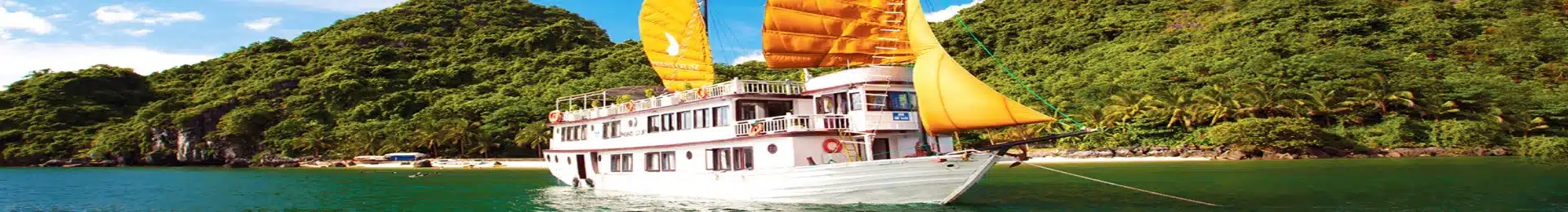 Halong Bay Phoenix Cruiser head