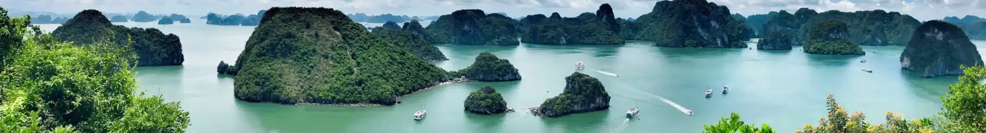 Halong Bay Vietnam head