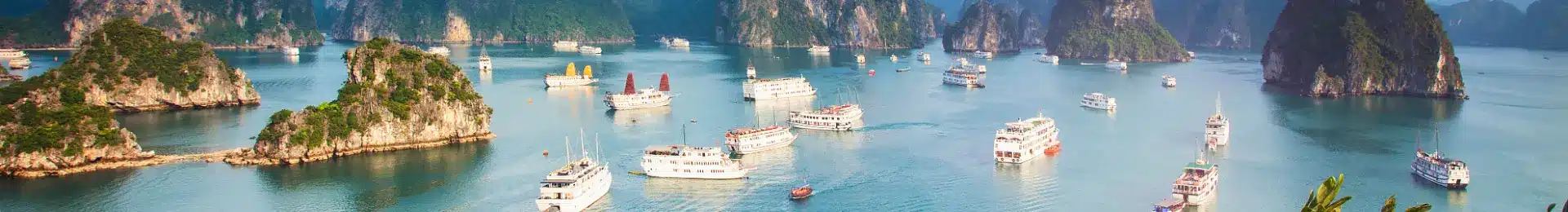 Halong Bay Vietnam head