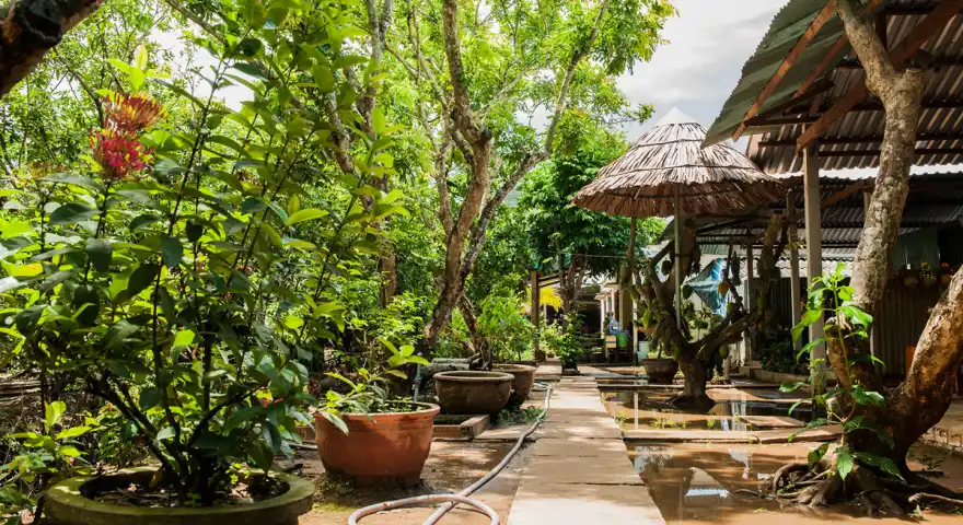 Mekong River Orchard Garden
