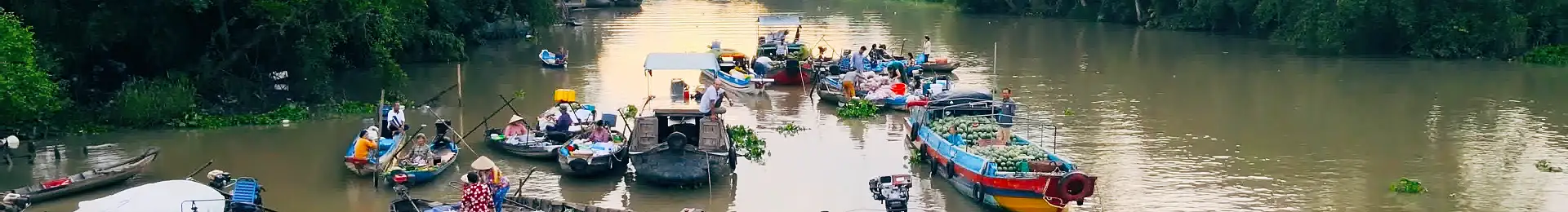 Vietnam Floating Market head
