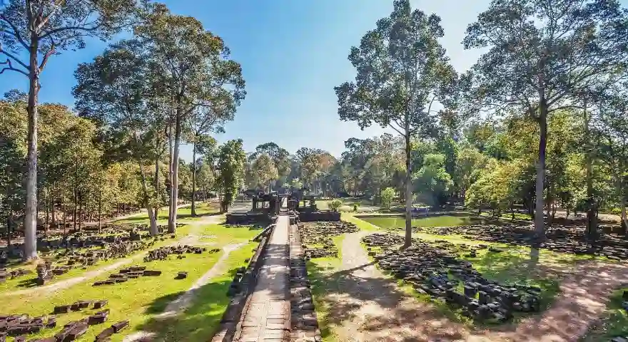 jungle-near-Angkor-Wat