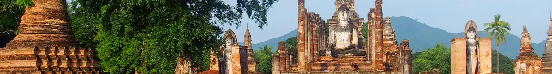 Ayutthaya Historical Park head