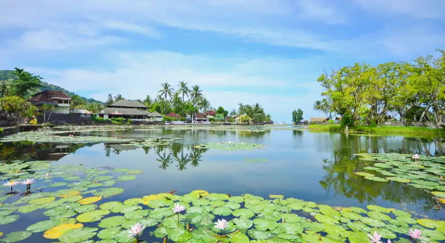 Bali Candidasa Lotus Lagoon