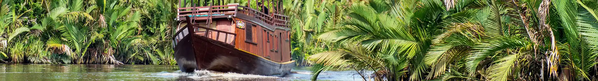 Borneo Rainforest Cruise head