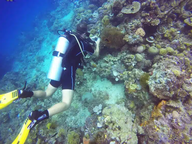 Philippines El Nido Scube Diving