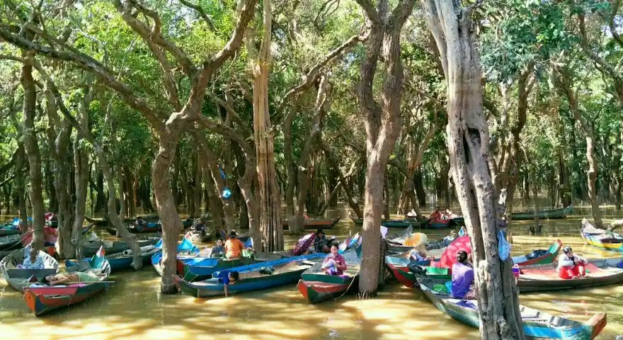 Cambodia Tonle Sap Lake Mangrove Forests