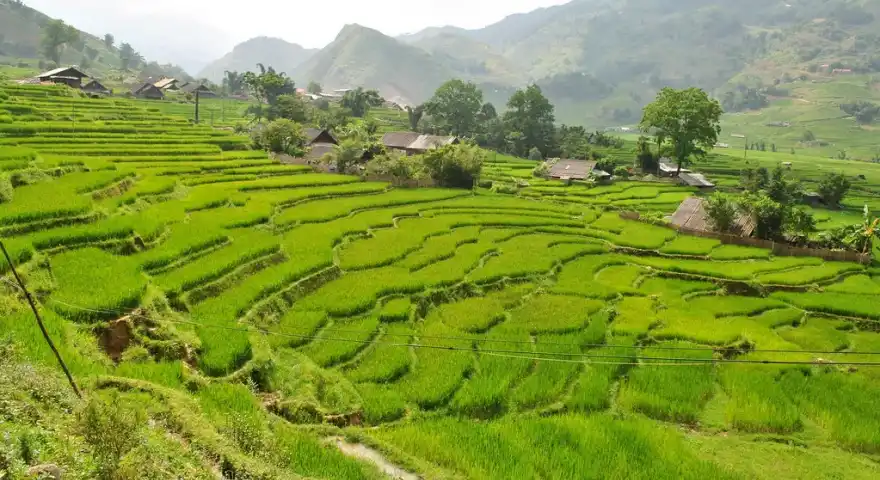 Vietnam Sapa Hiking Tour