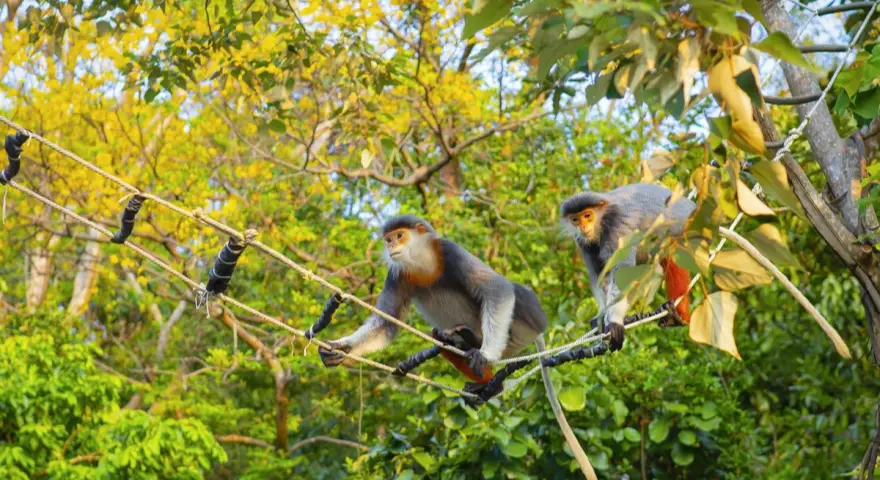 Monkey Mountain Vietnam