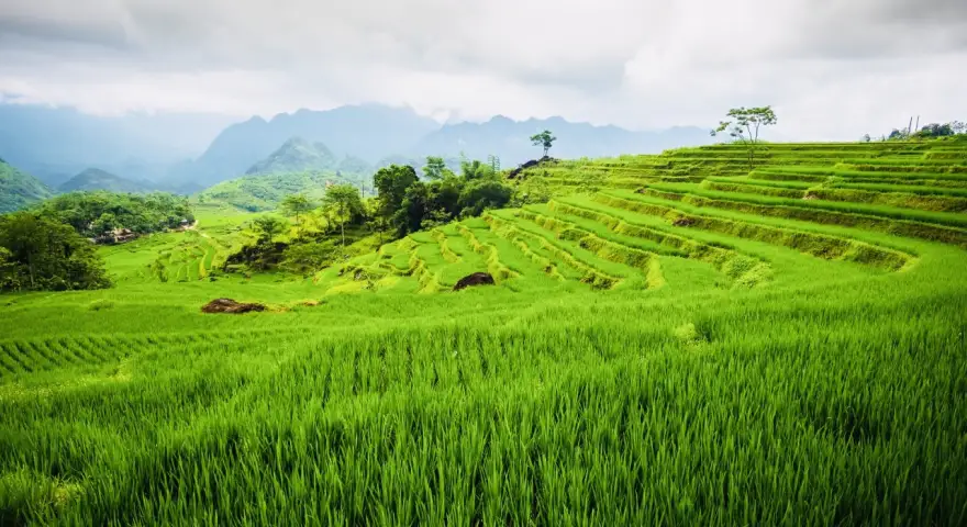 Pu Luong Vietnam