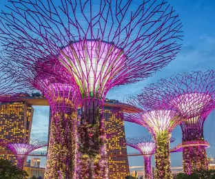 Asia Singapore Tour with Gardens by the Bay
